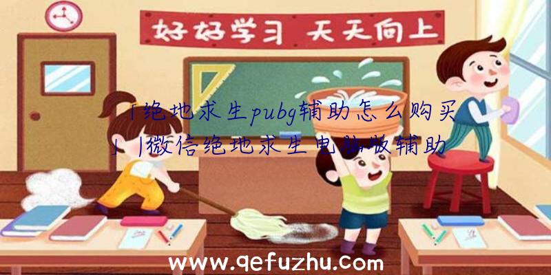 「绝地求生pubg辅助怎么购买」|微信绝地求生电脑版辅助